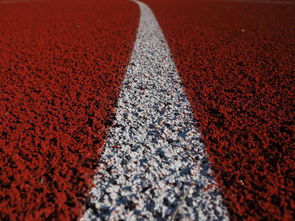 星空官网-田径项目专项训练成效显著，田径专项体能训练